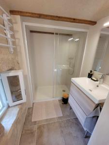 y baño con ducha y lavamanos. en Maison des biches, en Saint-Jean-et-Saint-Paul