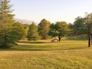 un campo de césped con árboles en el fondo en Complejo Turístico Casaflor en Villa Cura Brochero