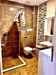A bathroom at Apartman Sova
