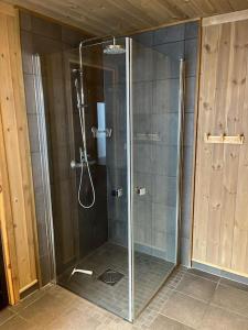 a shower with a glass door in a bathroom at Hovdetunet 77-Gaustablikk in Gaustablikk