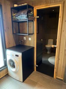 a washer and dryer in a small bathroom at Hovdetunet 77-Gaustablikk, Tinn, Telemark in Gaustablikk +20 photos