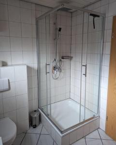 a bathroom with a shower and a toilet at Heufelsen Ferienwohnung in Hinterweidenthal