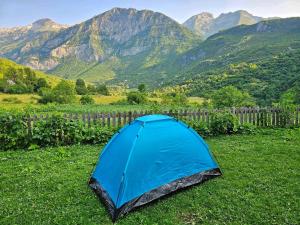 Příroda nedaleko penzionu + 18 fotografií