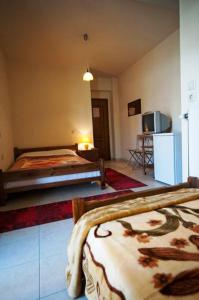 a bedroom with two beds and a tv in a room at Pavlou Rooms in Ioannina