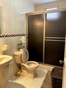 La salle de bains est pourvue de toilettes, d'une douche et d'un lavabo. dans l'établissement Departamento para seis personas en Etzatlán., à Etzatlán