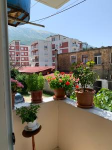 a balcony with potted plants sitting on a ledge at Guest House Dimos Kristi in Përmet