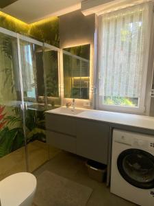 ein Badezimmer mit Waschbecken und Waschmaschine in der Unterkunft ORO, 8 in Bellano