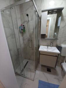 a bathroom with a shower and a sink at Sweet home in Brčko