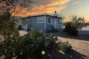 una pequeña casa en el desierto con un cactus en The Raven House - Renovated Homestead Cabin en Joshua Tree