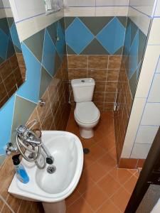 La salle de bains est pourvue d'un lavabo blanc et de toilettes. dans l'établissement Gardenhouse, à Mëmëlisht