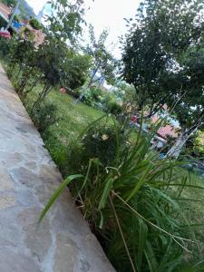 Φωτογραφία από το άλμπουμ του Gardenhouse σε Mëmëlisht