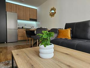 a living room with a table with a plant on it at Sun&Moon Apartments in Novi Sad