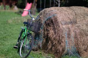 Attività di ciclismo presso l'affittacamere o nelle vicinanze