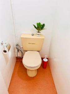 a bathroom with a toilet with a plant on top of it at Appartement Cosy quartier chic de Rabat in Rabat