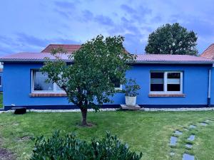 a blue house with a tree in the yard at Ferienhaus Ankerplatz in Lambrechtshagen