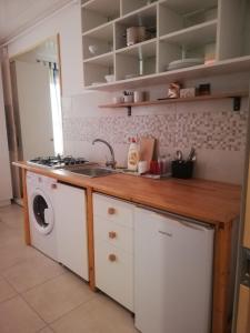 een keuken met een spoelbak en een wasmachine bij Jamie's Guest House in Roşu