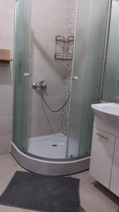 een douche met een glazen deur in een badkamer bij Jamie's Guest House in Roşu +7 foto's