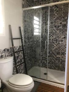 a bathroom with a toilet and a shower at Kaz bleu karaibes in Sainte-Anne +19 photos