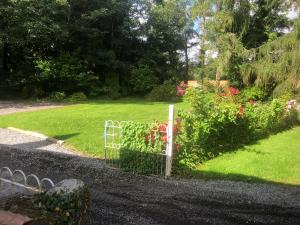 a garden with a fence and flowers in a yard at Larchgrove - 1800s Irish Farmhouse in Carlow