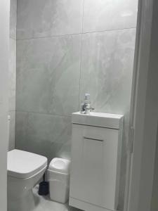 uma casa de banho branca com um WC e um lavatório em Studio flat private bathroom wc and kitchenette em Londres
