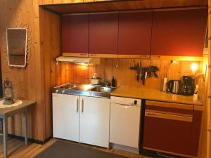 Kuchyň nebo kuchyňský kout v ubytování Romslig hytte nær R7, Ål sentrum, fjell & skianlegg
