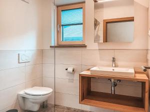 a bathroom with a toilet and a sink and a mirror at AlpenLuxus' RUHESTUBE with balcony & car park in Fügen