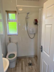 a bathroom with a toilet and a shower at The Casan in Letterkenny