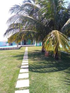 palma i ścieżka w trawie w obiekcie Casa Condomínio Arraial do Cabo w mieście Arraial do Cabo