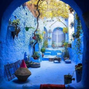 Joli studio de charme à chaouen في شفشاون: غرفة زرقاء مليئة بالكثير من النباتات الفخارية