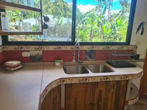 cocina con fregadero y ventana en Finca Soley, en Tucurrique