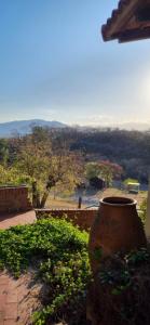 a large vase sitting on a patio with a view at Casa Gelsi - El Cadillal in Tafí Viejo +10 photos