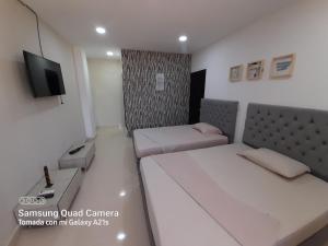 a small room with two beds and a tv at DINA CONFORT in Puerto Triunfo