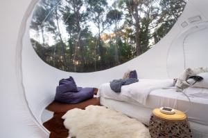 Fotografie z fotogalerie ubytování Skyview Bubbletent v destinaci Eganstown