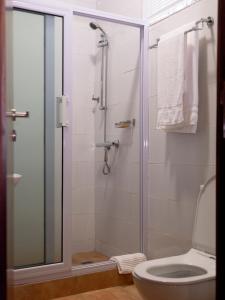 庫馬西的住宿－The Haven Boutique Hotel，带淋浴和卫生间的浴室