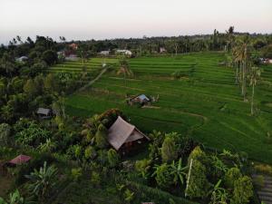 an aerial view of a village in a rice field at Cute Eco Cottage Near 7 Waterfalls in Singaraja