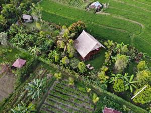 una vista aérea de un jardín con una casa en Cute Eco Cottage Near 7 Waterfalls, en Singaraja