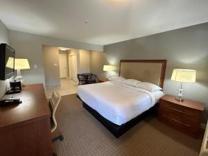 Habitación de hotel con cama grande y escritorio. en Hillside Inn, en Santa Rosa