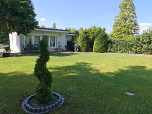 een kleine boom in het midden van een tuin bij Ferienhaus Elbe -Parey am See in Parey