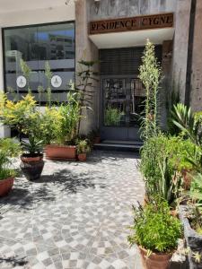 um pátio com vasos de plantas em frente a um edifício em magnifique appartement em Tânger