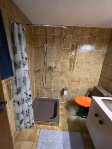 W łazience znajduje się prysznic, wanna i toaleta. w obiekcie Creek’s cave studio - The paradise for climbers w mieście Arcegno