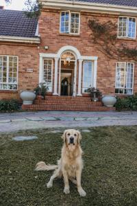 a dog sitting in the grass in front of a house at Milestone Farm House in Balgowan