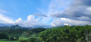 a hillside with trees and clouds in the sky at Florida Koi in Pereira