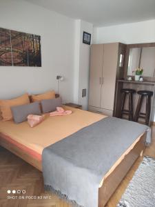 Postel nebo postele na pokoji v ubytování Vila Čair DOPLATA ZA BAZEN