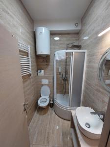 ein Bad mit einem WC, einer Dusche und einem Waschbecken in der Unterkunft Ancora apartment Lana in Novi Sad