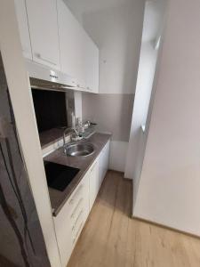 a small kitchen with a sink and a counter at Ancora apartment Anja in Novi Sad