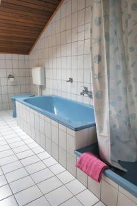 baño con bañera azul y cortina de ducha en Ferienwohnung Degner, en Schönberg