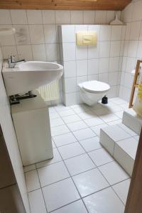La salle de bains est pourvue d'un lavabo et de toilettes. dans l'établissement Ferienwohnung Degner, à Schönberg
