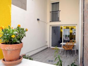 a patio with a potted plant and a table at Ca l'Ametller in Torregrosa