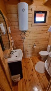 a small bathroom with a sink and a toilet at Borowa Chatka in Borowy Młyn