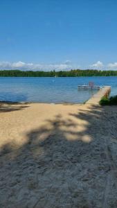 a tree on the shore of a lake with a dock at Borowa Chatka in Borowy Młyn